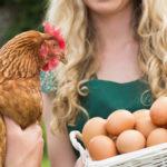 food, water, water usage, water needs, chicken, egg, farm | The 71 Percent | Indiana American Water