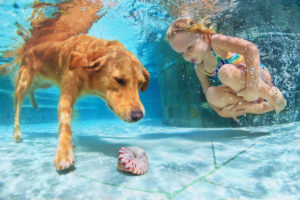 Dog and child in pool | The71Percent | Indiana American Water