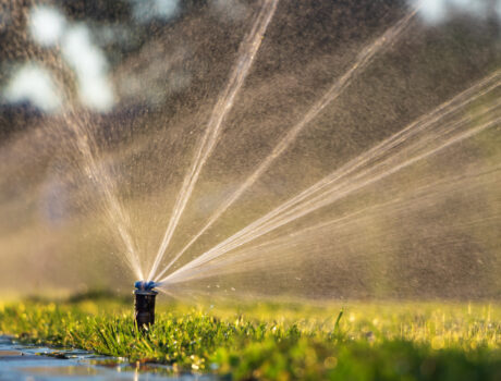 Automatic sprinkler system watering the lawn.
